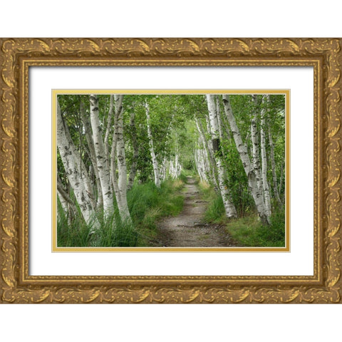 Summer Path II Gold Ornate Wood Framed Art Print with Double Matting by Head, Danny