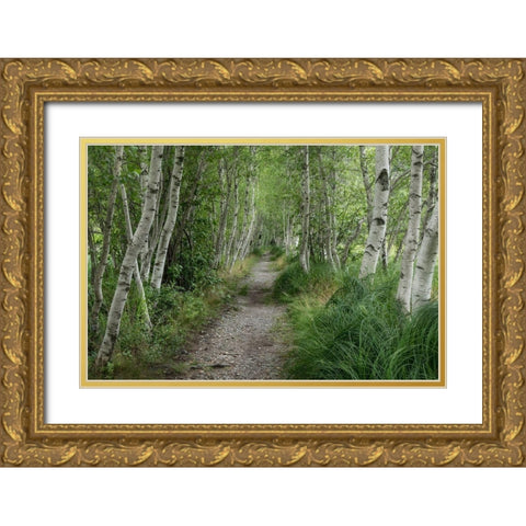 Summer Path III Gold Ornate Wood Framed Art Print with Double Matting by Head, Danny
