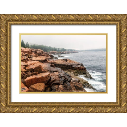 Red Rocks Gold Ornate Wood Framed Art Print with Double Matting by Head, Danny