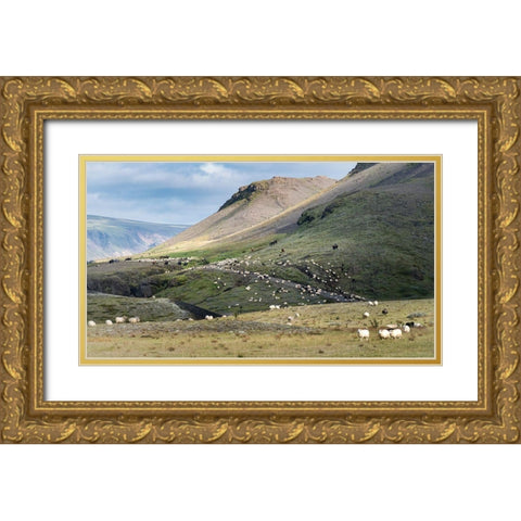 Herding Sheep II Gold Ornate Wood Framed Art Print with Double Matting by Head, Danny