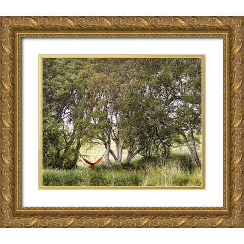 Red Hammock Gold Ornate Wood Framed Art Print with Double Matting by Head, Danny