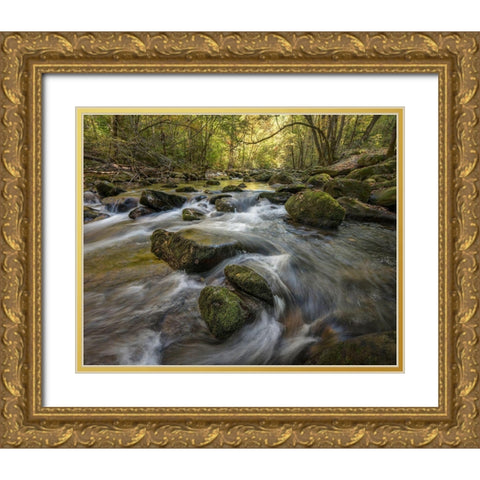 Under the Laurel Gold Ornate Wood Framed Art Print with Double Matting by Head, Danny