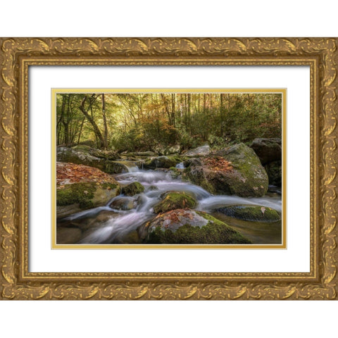 Listen Closely Gold Ornate Wood Framed Art Print with Double Matting by Head, Danny