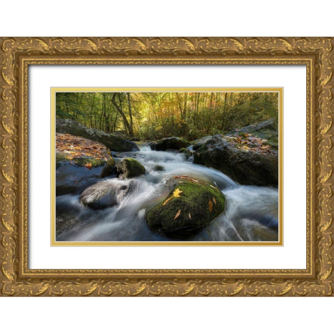 Yellow Leaf Gold Ornate Wood Framed Art Print with Double Matting by Head, Danny