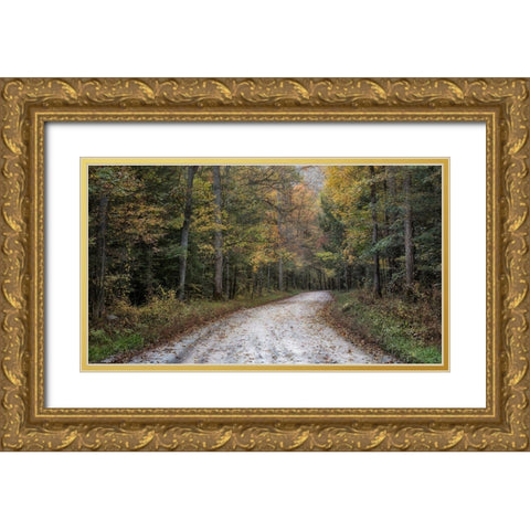 Crusing Greenbrier I Gold Ornate Wood Framed Art Print with Double Matting by Head, Danny