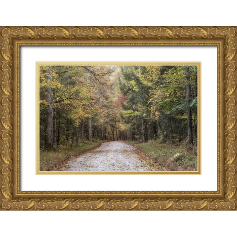 Crusing Greenbrier II Gold Ornate Wood Framed Art Print with Double Matting by Head, Danny