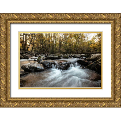 Amber Autumn I Gold Ornate Wood Framed Art Print with Double Matting by Head, Danny