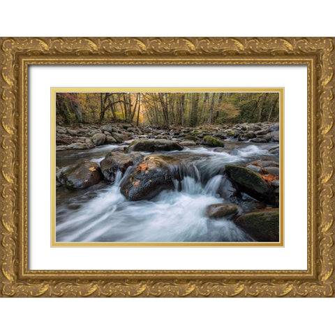 Rust Leaf Gold Ornate Wood Framed Art Print with Double Matting by Head, Danny