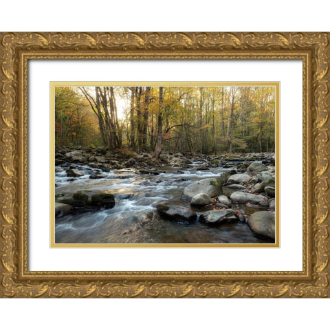 Reflecting Sunrise Gold Ornate Wood Framed Art Print with Double Matting by Head, Danny