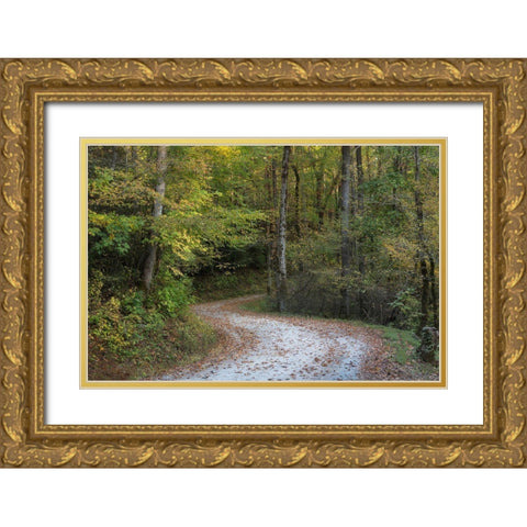 Up and Over I Gold Ornate Wood Framed Art Print with Double Matting by Head, Danny