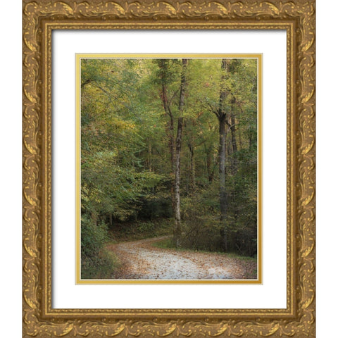 Up and Over II Gold Ornate Wood Framed Art Print with Double Matting by Head, Danny