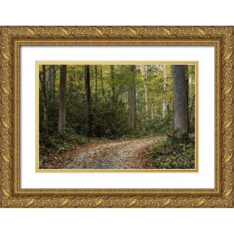 Turning Right Gold Ornate Wood Framed Art Print with Double Matting by Head, Danny