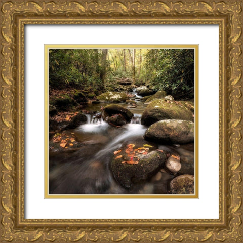 Laurel Lined Streams Gold Ornate Wood Framed Art Print with Double Matting by Head, Danny
