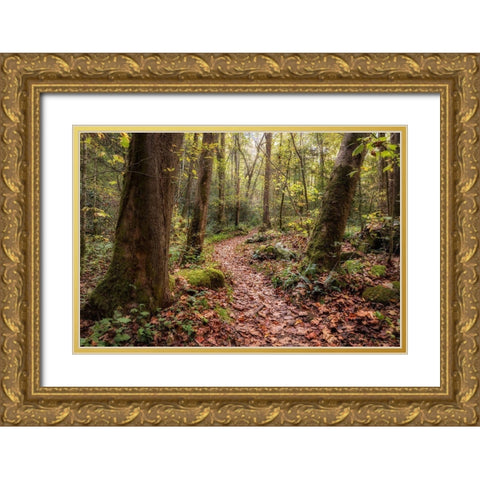 Mt Sterling Trail I Gold Ornate Wood Framed Art Print with Double Matting by Head, Danny