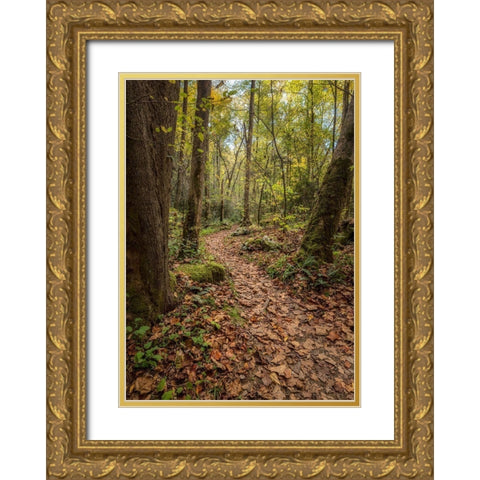 Mt Sterling Trail II Gold Ornate Wood Framed Art Print with Double Matting by Head, Danny