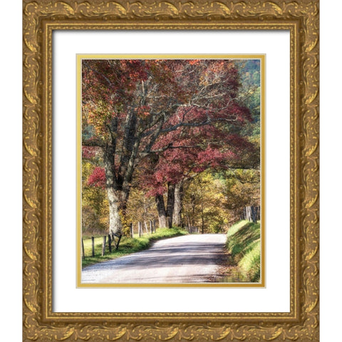 Cove Lane I Gold Ornate Wood Framed Art Print with Double Matting by Head, Danny