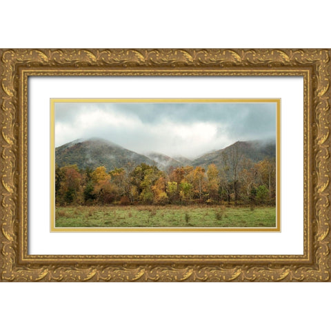 Misty Cove I Gold Ornate Wood Framed Art Print with Double Matting by Head, Danny