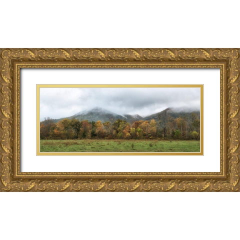 Cove Panorama Gold Ornate Wood Framed Art Print with Double Matting by Head, Danny