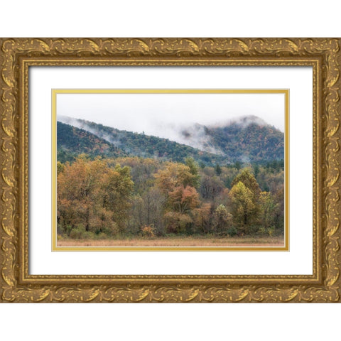 Misty Cove II Gold Ornate Wood Framed Art Print with Double Matting by Head, Danny