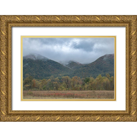 Misty Cove III Gold Ornate Wood Framed Art Print with Double Matting by Head, Danny