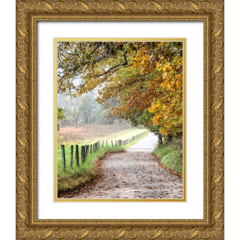 Cove lane II Gold Ornate Wood Framed Art Print with Double Matting by Head, Danny