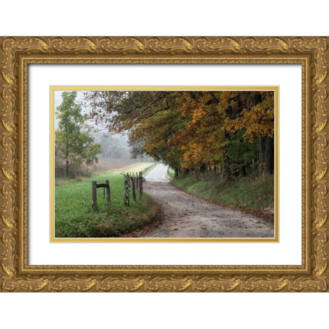 Cove Lane III Gold Ornate Wood Framed Art Print with Double Matting by Head, Danny