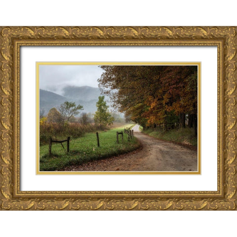 Cove Lane IV Gold Ornate Wood Framed Art Print with Double Matting by Head, Danny