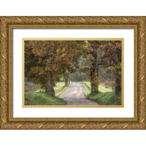 Between the Oaks Gold Ornate Wood Framed Art Print with Double Matting by Head, Danny