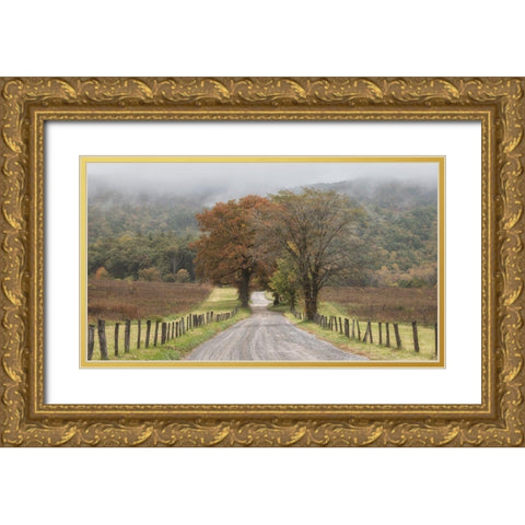 Looking Back Gold Ornate Wood Framed Art Print with Double Matting by Head, Danny