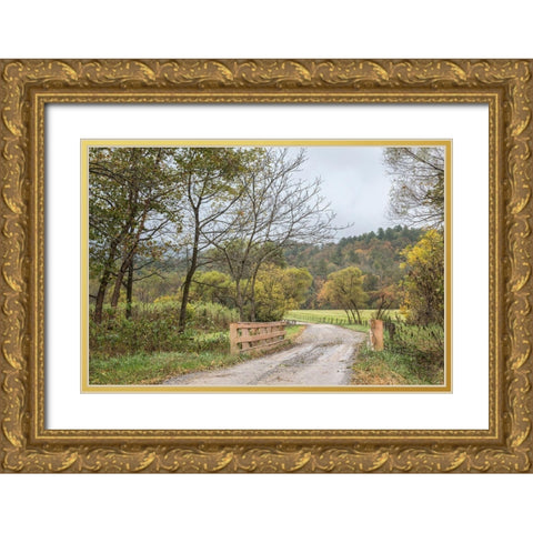 Cove Crossing Gold Ornate Wood Framed Art Print with Double Matting by Head, Danny