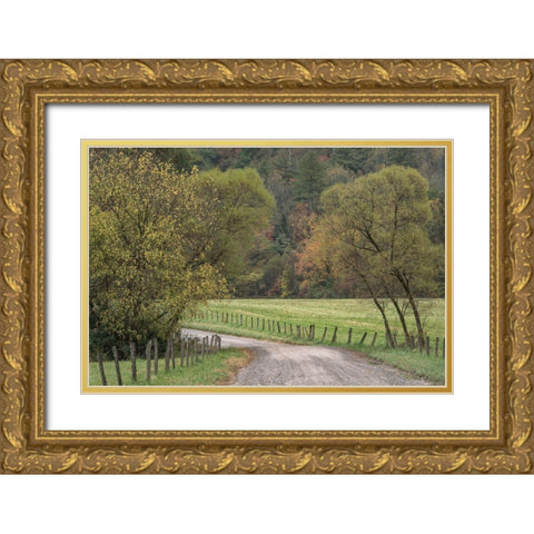 Roads and Fences Gold Ornate Wood Framed Art Print with Double Matting by Head, Danny
