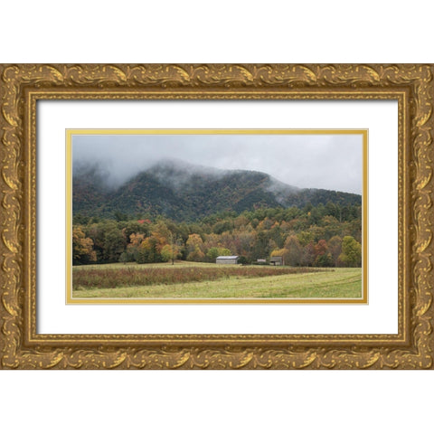 The Homestead Gold Ornate Wood Framed Art Print with Double Matting by Head, Danny
