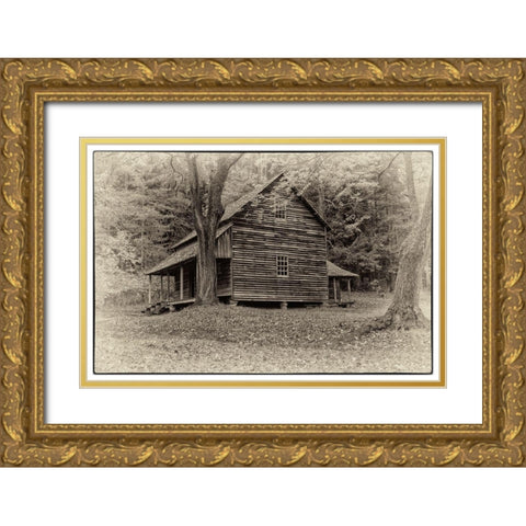 Early Cabin Gold Ornate Wood Framed Art Print with Double Matting by Head, Danny