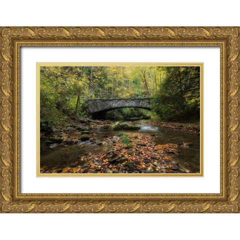 Arched Bridge Gold Ornate Wood Framed Art Print with Double Matting by Head, Danny