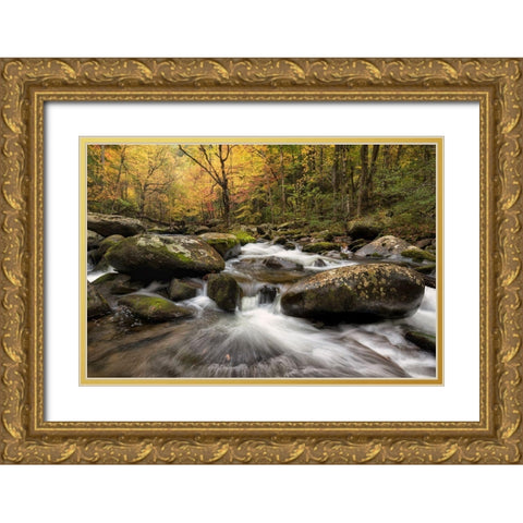 Autumn at Tremont I Gold Ornate Wood Framed Art Print with Double Matting by Head, Danny