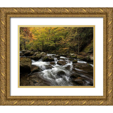 Autumn at Tremont II Gold Ornate Wood Framed Art Print with Double Matting by Head, Danny
