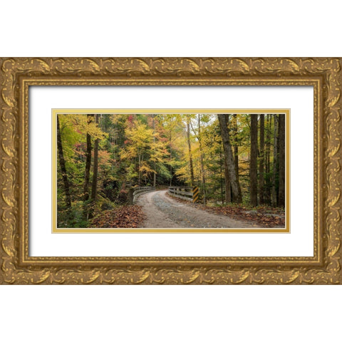 Golden Crossing Gold Ornate Wood Framed Art Print with Double Matting by Head, Danny