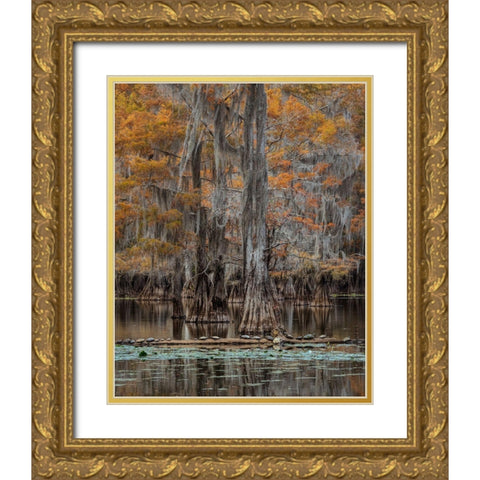 Twenty Turtles Gold Ornate Wood Framed Art Print with Double Matting by Head, Danny