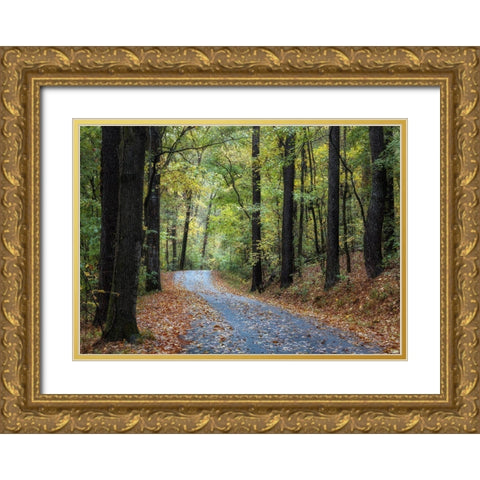Country Drive Gold Ornate Wood Framed Art Print with Double Matting by Head, Danny