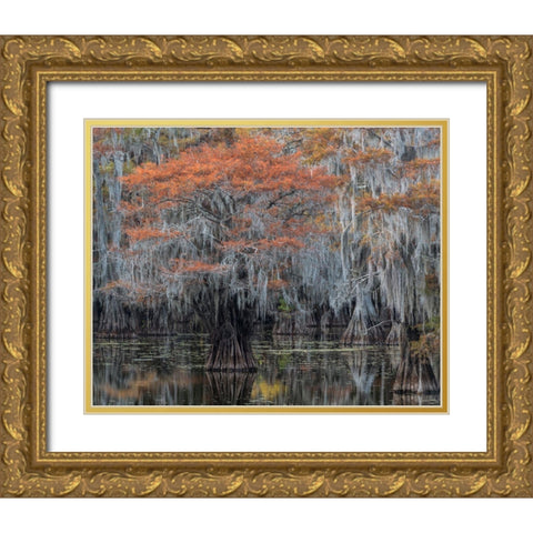Autumn Orange Gold Ornate Wood Framed Art Print with Double Matting by Head, Danny