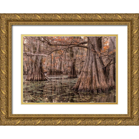 On the Bayou I Gold Ornate Wood Framed Art Print with Double Matting by Head, Danny