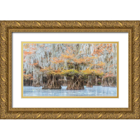 Bayou Colors Gold Ornate Wood Framed Art Print with Double Matting by Head, Danny