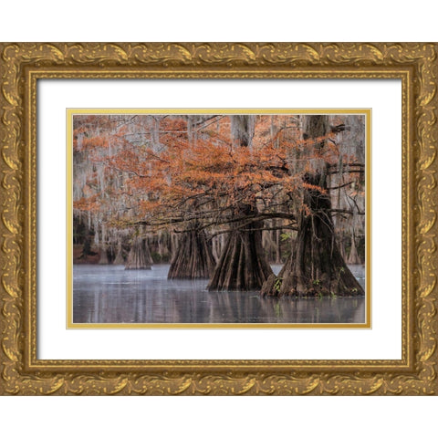 All Lined Up Gold Ornate Wood Framed Art Print with Double Matting by Head, Danny