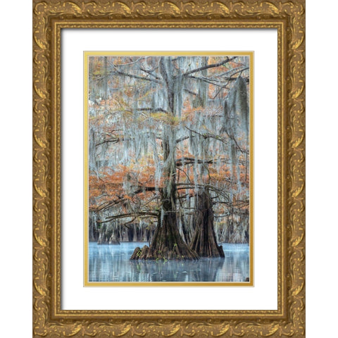 Hues of Blue Gold Ornate Wood Framed Art Print with Double Matting by Head, Danny