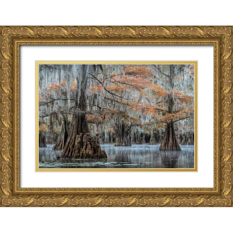 Spanish Moss I Gold Ornate Wood Framed Art Print with Double Matting by Head, Danny