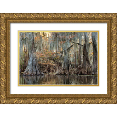 Cypress Silk Gold Ornate Wood Framed Art Print with Double Matting by Head, Danny