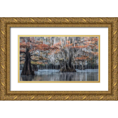 Spanish Moss II Gold Ornate Wood Framed Art Print with Double Matting by Head, Danny