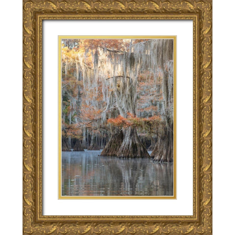 Bayou Blues Gold Ornate Wood Framed Art Print with Double Matting by Head, Danny