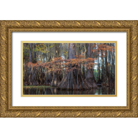 On the Bayou II Gold Ornate Wood Framed Art Print with Double Matting by Head, Danny