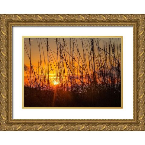 Sea Oats Gold Ornate Wood Framed Art Print with Double Matting by Head, Danny